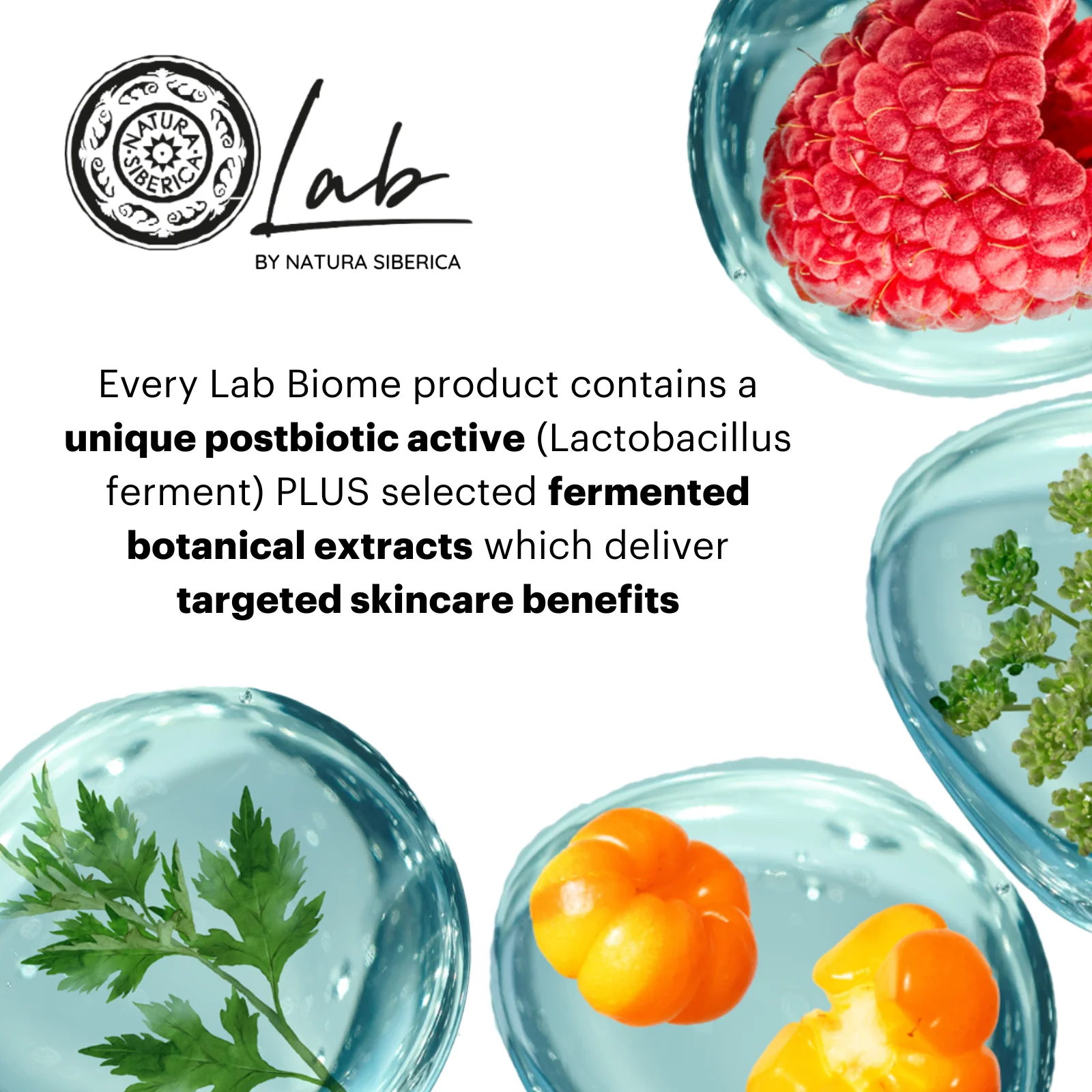 Lab by Natura Siberica Biome. Hydration Purifying Face Cleansing Foam, 200 ml - Image 5